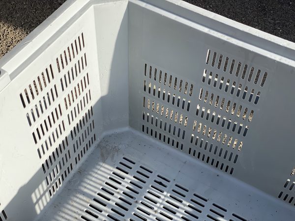 PC054-19 CONTENITORI INDUSTRIALI IN PLASTICA GRIGLIATI mm 1200x1000 h760 - immagine 3
