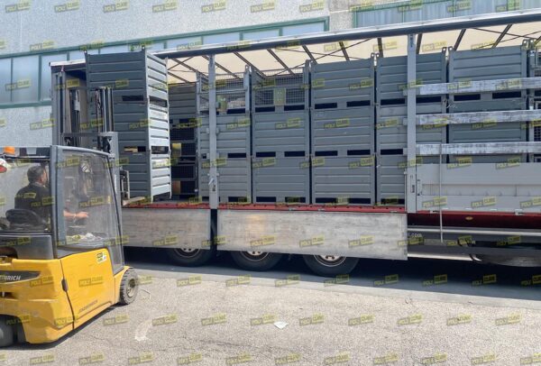 MC093-13 CONTENITORI INDUSTRIALI CON PORTELLA misto lamiera e rete mm 1000 X 800 H840 - immagine 9